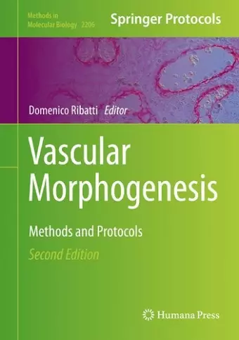 Vascular Morphogenesis cover