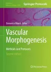 Vascular Morphogenesis cover