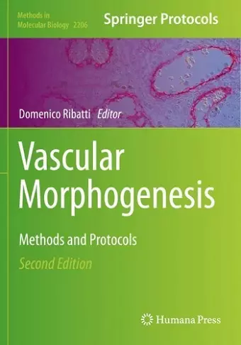 Vascular Morphogenesis cover