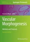 Vascular Morphogenesis cover