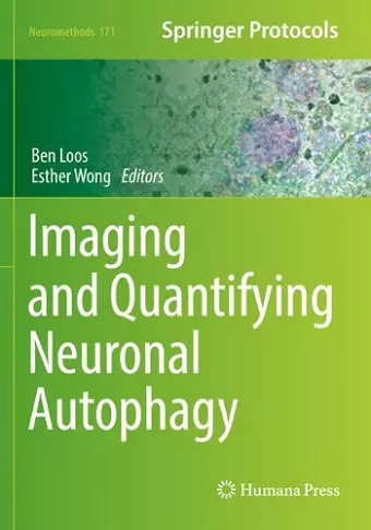 Imaging and Quantifying Neuronal Autophagy cover