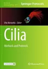 Cilia cover