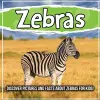 Zebras cover