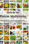 Guía de las plantas medicinales cover