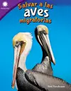 Salvar a las aves migratorias cover