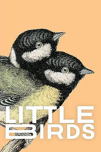 Little Birds cover