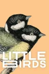 Little Birds cover