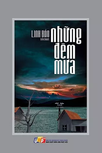 Những đêm mưa cover