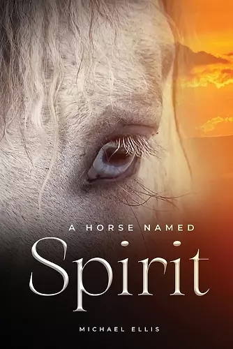 A Horse Named Spirit cover