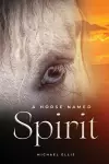 A Horse Named Spirit cover