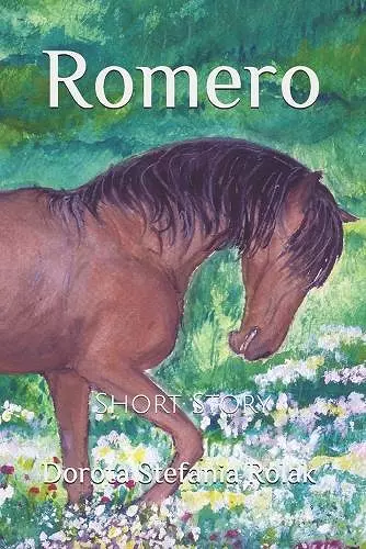 Romero cover