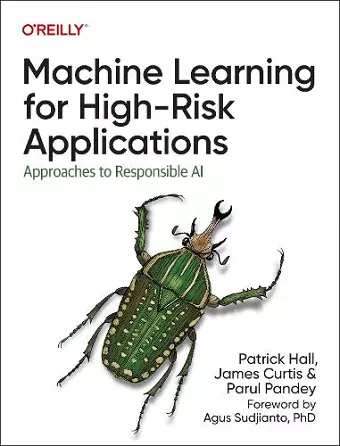 Machine Learning for High-Risk Applications cover