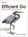 Efficient Go packaging
