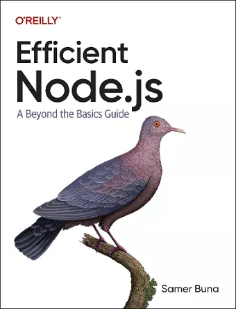 Efficient Node.js cover