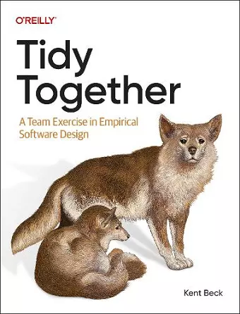 Tidy Together cover