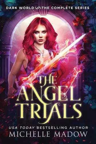The Angel Trials cover