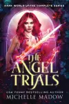 The Angel Trials cover