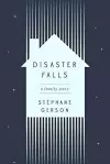 Disaster Falls cover
