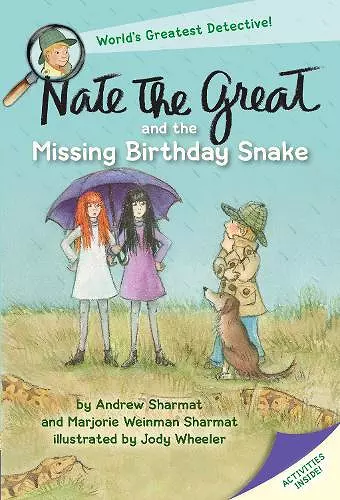 Nate the Great and the Missing Birthday Snake cover