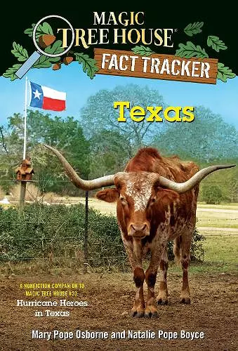 Texas cover