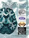 Basic Human Neuroanatomy cover