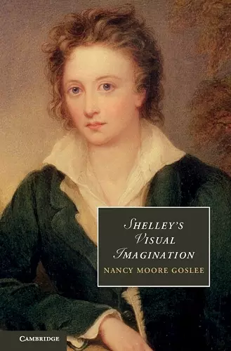 Shelley's Visual Imagination cover