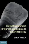 Tooth Development in Human Evolution and Bioarchaeology cover