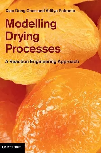 Modelling Drying Processes cover