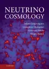 Neutrino Cosmology cover