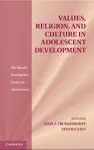 Values, Religion, and Culture in Adolescent Development cover