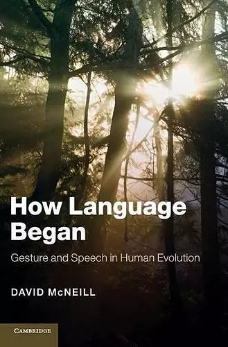 How Language Began cover