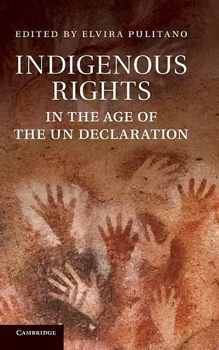 Indigenous Rights in the Age of the UN Declaration cover