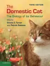 The Domestic Cat cover