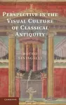 Perspective in the Visual Culture of Classical Antiquity cover