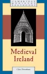 Medieval Ireland cover