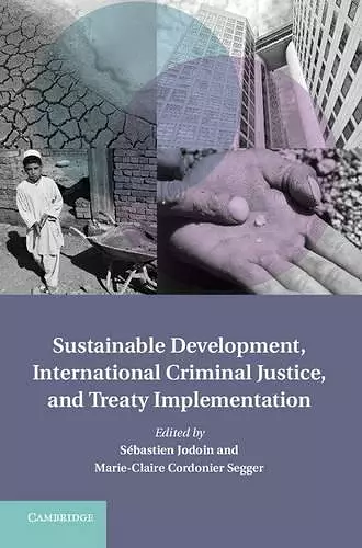 Sustainable Development, International Criminal Justice, and Treaty Implementation cover