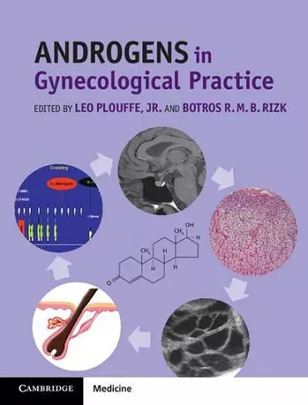 Androgens in Gynecological Practice cover