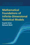 Mathematical Foundations of Infinite-Dimensional Statistical Models cover