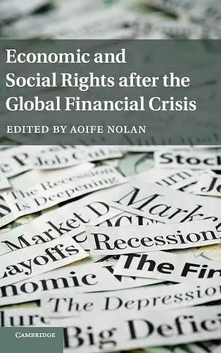 Economic and Social Rights after the Global Financial Crisis cover