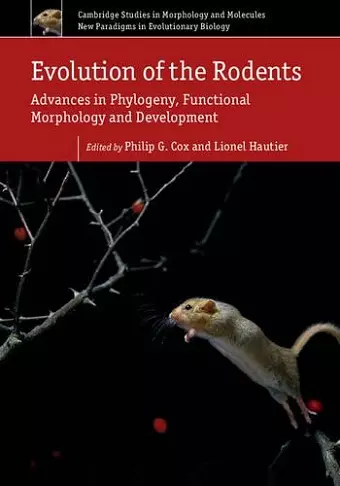 Evolution of the Rodents: Volume 5 cover