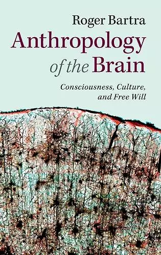 Anthropology of the Brain cover