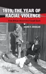 1919, The Year of Racial Violence cover