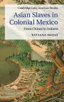 Asian Slaves in Colonial Mexico cover