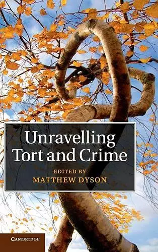 Unravelling Tort and Crime cover