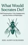 What Would Socrates Do? cover