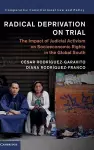 Radical Deprivation on Trial cover