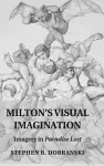 Milton's Visual Imagination cover