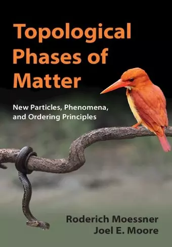 Topological Phases of Matter cover