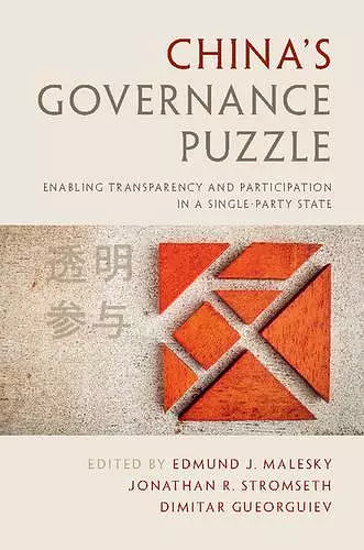 China's Governance Puzzle cover