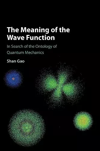 The Meaning of the Wave Function cover